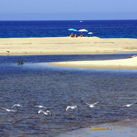 Residenza L 'Alivetu Aparthotel Cargèse Εξωτερικό φωτογραφία